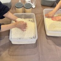 春のデトックスに。生きた酵素たっぷりの5倍麹味噌を仕込む様子。手から伝わる温もりで発酵を助ける手作り味噌体験。