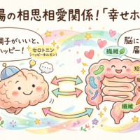 脳と腸の相思相愛な関係を描いた可愛いイラスト。お味噌汁で腸を整え、幸せホルモンを脳に届けるイメージ。